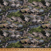 Cotton Otters Sea Otter Animals Wildlife River Scenic Fabric Print BTY D482.27 - £9.98 GBP