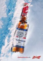 Budweiser Bud Light Beer Advertising Metal  Sign 8x12in Vintage Frogs Sp... - $24.74