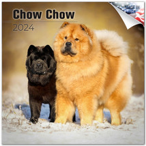 CHOW CHOW Wall Calendar 2024  Animal DOG PET Lover Gift - £19.77 GBP