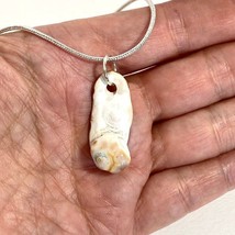 Tampa Bay Fossil Coral Botryoidal Agate Knob Pendant Silver Plated Necklace - £19.95 GBP