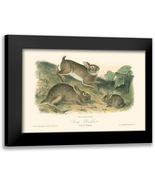 Audubon, John James 14X11 Black Modern Framed Museum Art Print Titled - ... - €45,60 EUR
