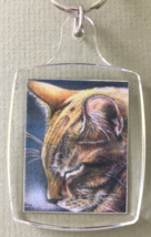 Small Cat Art Keychain - Sleeping Rudy - $8.00