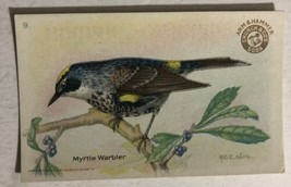 Myrtle Warbler Victorian Trade Card Arm And Hammer VTC 5 - £4.71 GBP