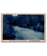 Bamboo Forest Mogi Road to Nagasaki Japan UNP Cyanotype DB Postcard K18 - $225.20 MXN