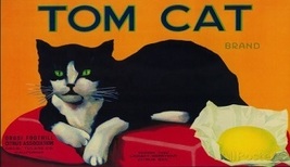 Tom Cat - Fridge Magnet - £14.09 GBP
