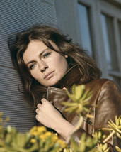 Jacqueline Bisset sultry glamour portrait brown leather jacket 11x14 Photo - £11.79 GBP