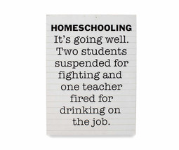 NEW Homeschooling Box Sign Plaque minimalist black &amp; white 7 x 5 inches - £7.95 GBP