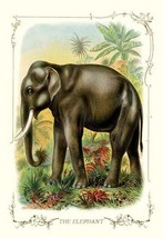 The Elephant - Art Print - £16.43 GBP+