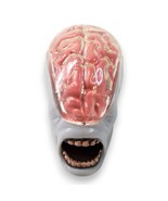 DC Universe Collect &amp; Connect Validus Head Part BAF Rare Brain Figure Co... - $136.28 MXN