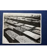 WILLIAMSON WV WEST VIRGINIA LOADED COAL CARS IN RAILYARD - $19.78