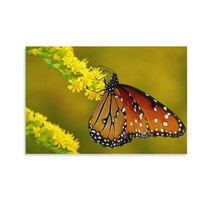 Animal Poster Butterfly Kitchen Unframed Inside Canvas Art 18x12 Inch 2-Piece - $11.99