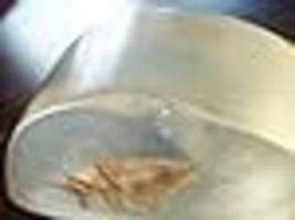 Item image 15