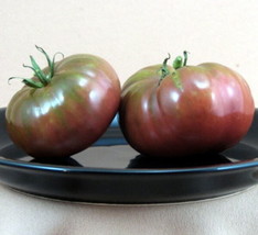 Black Brandywine Tomato 30 Seeds Garden Fresh USA Shipping - $15.98