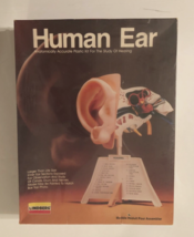 Lindberg USA HUMAN EAR Medical Display Anatomy 1991 Model Kit 1991 Vintage New - £11.30 GBP