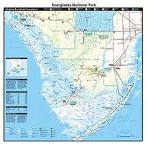 Printed Image Everglades National Park Topographical Map Bandanna Florida - £8.29 GBP