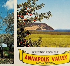 1970s Postcard Annapolis Valley Nova Scotia Cape Blomidon Unposted Vinta... - $19.99
