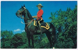 Postcard Royal Canadian Mounted Police RCMP On Horse Canada - £2.19 GBP