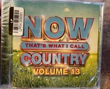 NOW THATS WHAT I CALL COUNTRY VOL 13 New Sealed Audio CD *Cracked Case* - $4.94