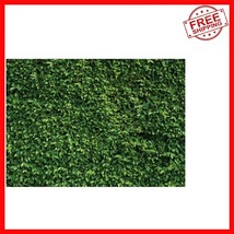 High-Resolution 8x6FT Green Leaf Banner for Baby Showers &amp; Birthdays - $719.50 MXN