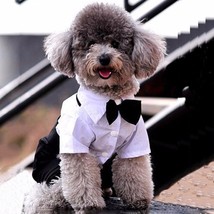 Dog Suit and Bow Tie Outfit - £12.55 GBP