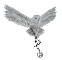 Anne Stokes Awaken Your Magic Snowy Owl with Pentagram Pendant Wall Sculpture - $107.90