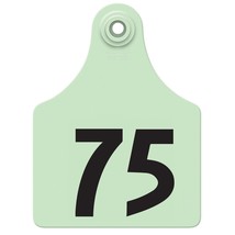 Allflex Global Maxi Numbered Tags 51-75 Green - £44.83 GBP