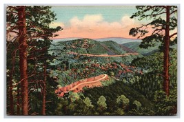 Black Range Scenic Highway Silver City New Mexico NM Linen Postcard Z1 - £2.29 GBP