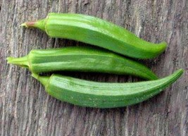 JGBOS Sell 300 Clemson Spineles Green Okra Abelmoscgus Esculentus Vegetable Seed - £7.02 GBP