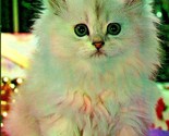 Adorable White Kitten Button Eyes UNP Unused Plastichrome Chrome Postcar... - $3.91