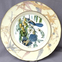 Royal Worcester James J Audubon Birds Plate 1976 Florida Or Scrub Jay Le 5000 - £13.48 GBP