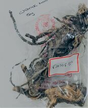  Chitrakmool  root Plumbago Zeylanica 50gm - $151.88 MXN