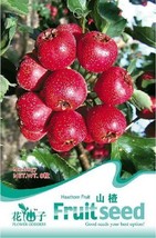 5 Packs 8 Seeds Pack Hawthorn Seeds Fructus Crataegi Herbs Maybush Seeds Maytree - $8.11