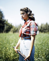 Jane Russell 8x10 Photo young pose holding rifle - £6.24 GBP