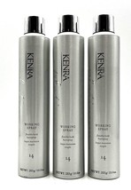 Kenra Platinum Working Spray Flexible Hold Hairspray #14 10 oz(80%) - £46.35 GBP