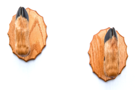 Whitetail Taxidermy Deer Hoof Gun Rack on Oak Plaques Gun-rack. Christma... - $59.40