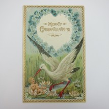 Postcard Birth Announcement Blonde Baby Boy Lily Pad Stork Antique 1912 Embossed - £7.85 GBP