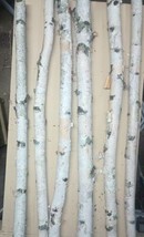 6 Natural White Birch Poles 4 ft long. Use for decoration, crafts and weddings. - £52.11 GBP
