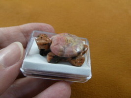 ann-tur-11) pink rhodonite + Jasper TURTLE tortoise GEM carving Pendant NECKLACE - $12.19