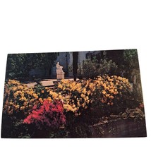 Postcard Hearst San Simeon State Historical Monument Bed Of Deciduous Az... - $6.92