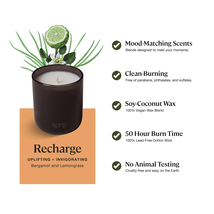 Sprig by Kohler  Aromatherapy Candle, Recharge (Bergamot & Lemongrass), 8 Oz  image 3