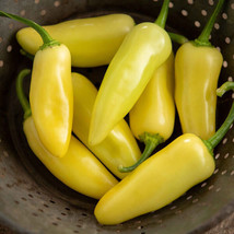 25 Seeds Yellow Jalapeño Pepper Vegetables Planting Garden - $7.77