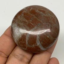 42.2g, 1.8&quot;x0.5&quot;, Natural Untreated Red Shell Fossils Round Palms-tone, ... - $6.00