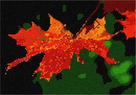 Pepita Needlepoint Canvas: Orange Leaf, 10&quot; x 7&quot; - £39.91 GBP+