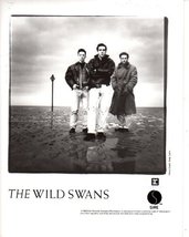 The Wild Swans Original 8x10 Photo K7737 - £7.69 GBP