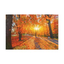 Autumn Forest Path Forest Floral Nature Photography Canvas Wall Art for Home De - £71.96 GBP+