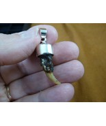 (g175-2) 1-1/4&quot; GATOR Alligator claw toe 925 SILVER CAPPED pendant JEWELRY - $45.64 CAD