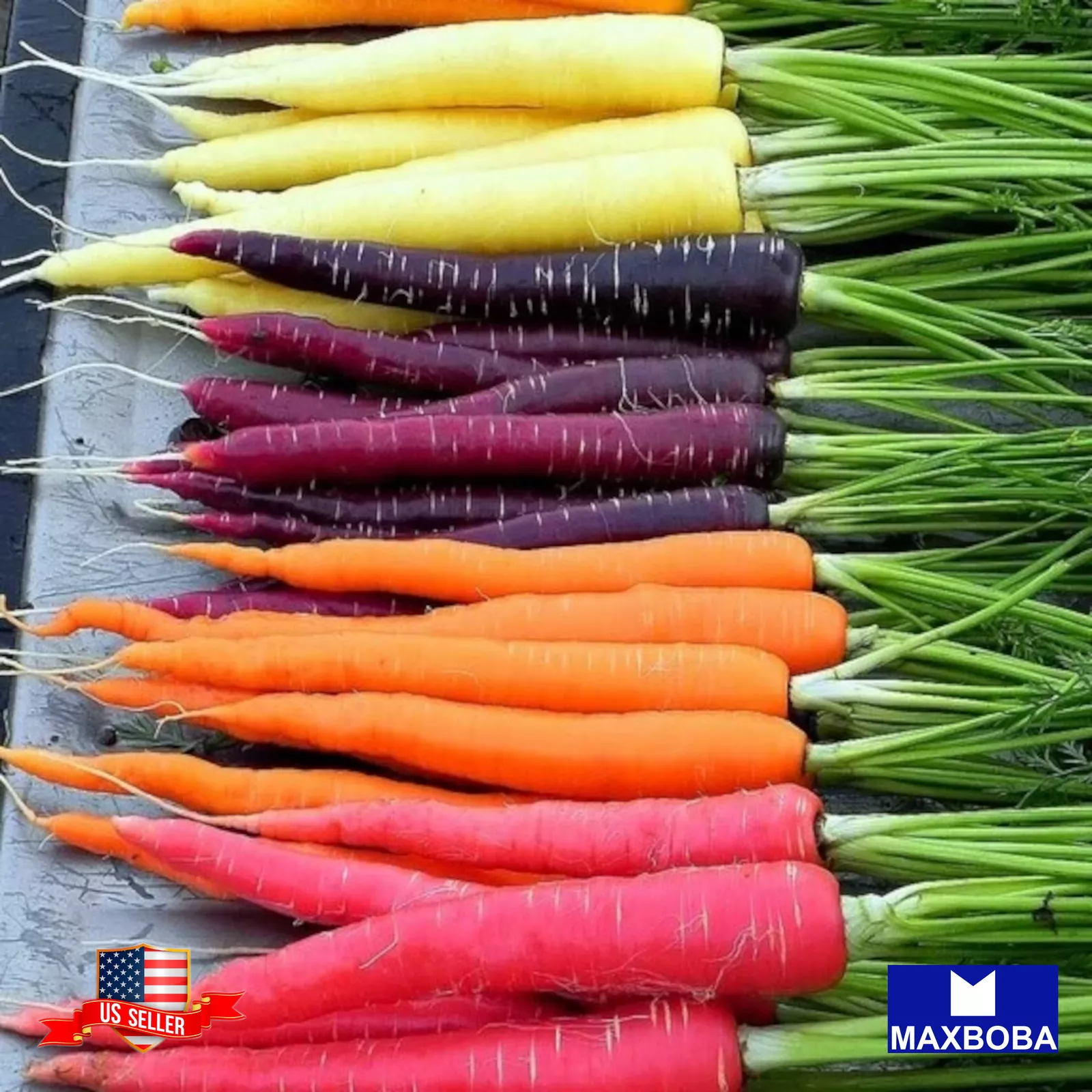 125 Rainbow Blend Carrot Seeds Non-GMO Heirloom BTGO 75% OFF - $4.63