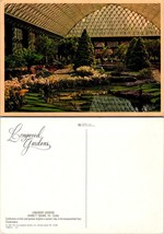 Pennsylvania Kennett Square Longwood Gardens Cymbidium Orchids Vintage Postcard - £7.39 GBP