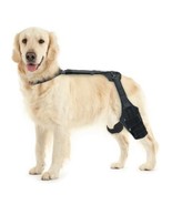 Dog Knee Brace for Torn Acl Hind Leg for Support with Cruciate Ligament ... - $376.14 MXN