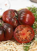 50 + Seeds  Black Krim Tomato Juicy Tomatoe Vegetable Garden Edible Food From US - $8.94